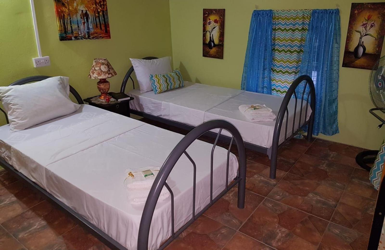 Salz Cozy Inn Roseau Buitenkant foto
